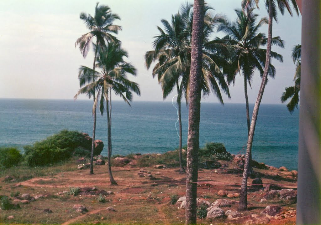 The sea at Covalam by Ujjal Ghosh