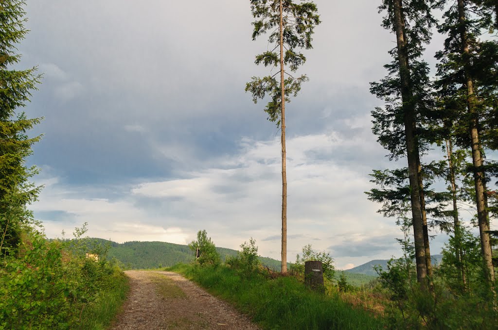 Hnilec, Slovakia by PavolG