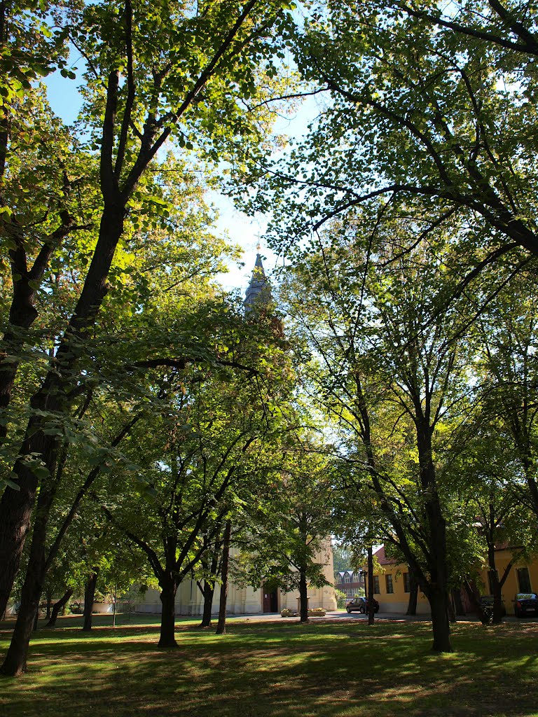 Gyula, utcakép - streetview - Szent Miklós katedrális by Újvári.Zsuzsi