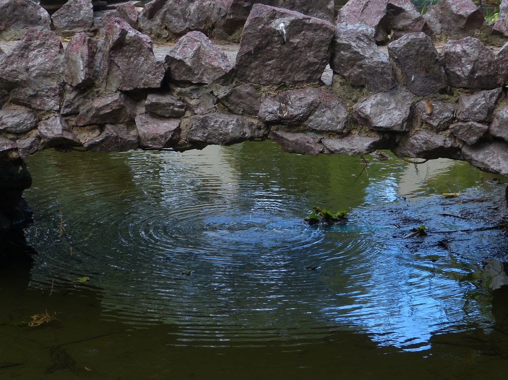 Lagunas del Zoologico de La Plata (jfe) by Javier E