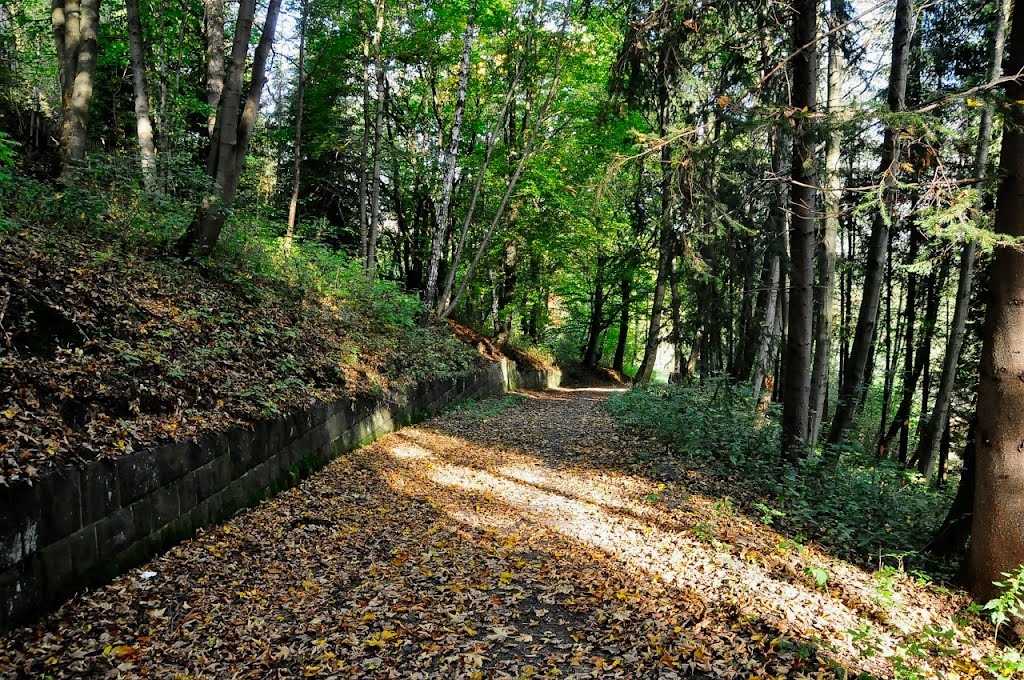 Johanngeorgenstadt, Bahnhofsteig (Blick talwärts): .... und von der selben Stelle aus nun noch doch Blick bergabwärts. Schußfahrt, jeeee. by Egbert Bueschel