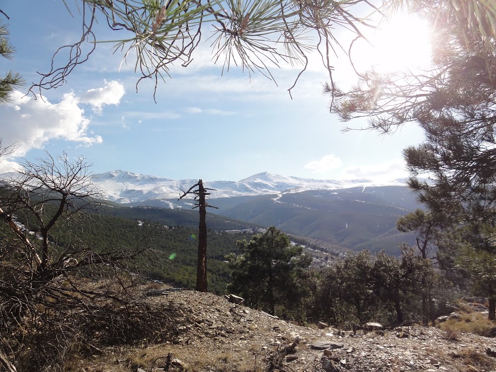 Aldeire, Granada, Spain by charly green