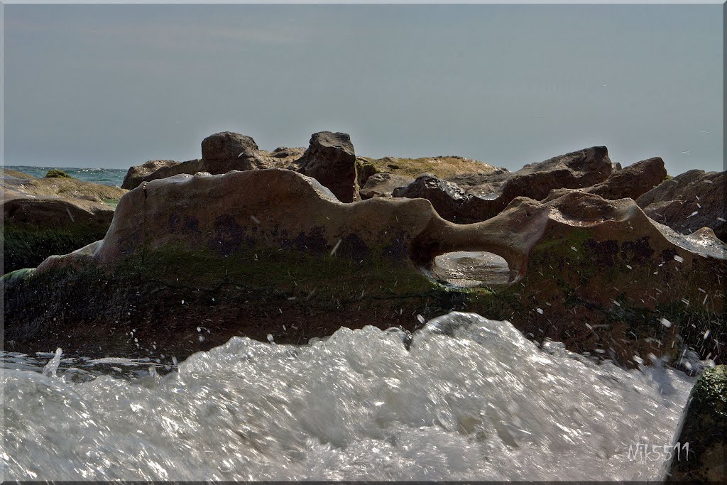 В залив ПапазКулак / In PapazKulak Bay by Nikolay Stoykov (Nik…