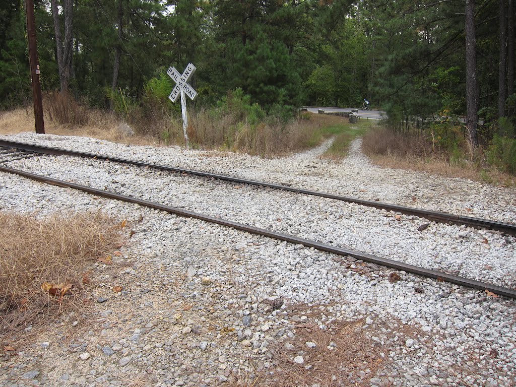 Stone Mountain Park Railroad by bryanf