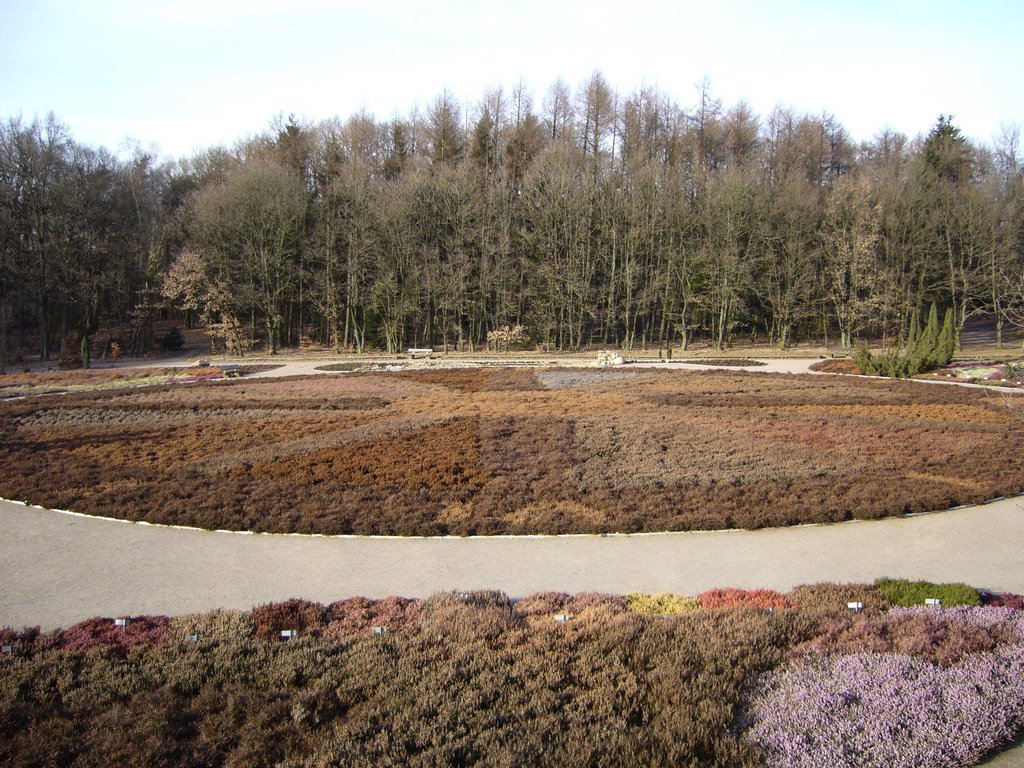 Der Heidegarten im Winter 2008 by D.Tetzner