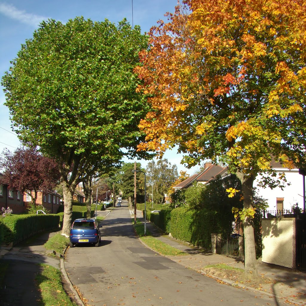 Autumnal Ridgeway Crescent 2, Gleadless, Sheffield S12 by sixxsix