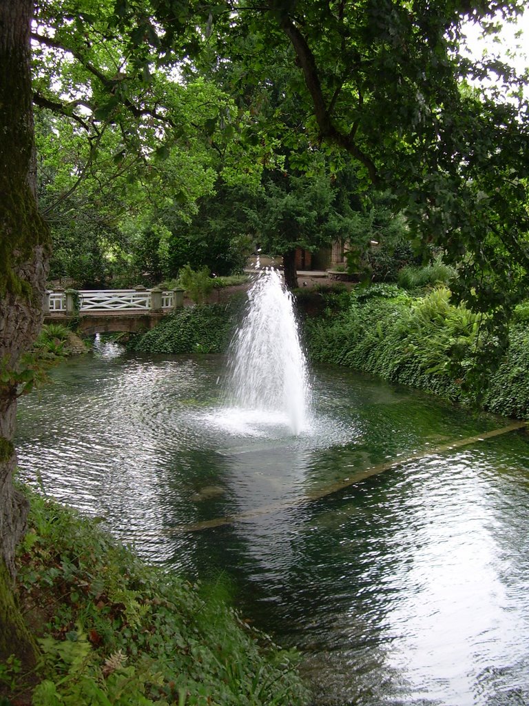 Lago con fuente, jardin botanico by lareta