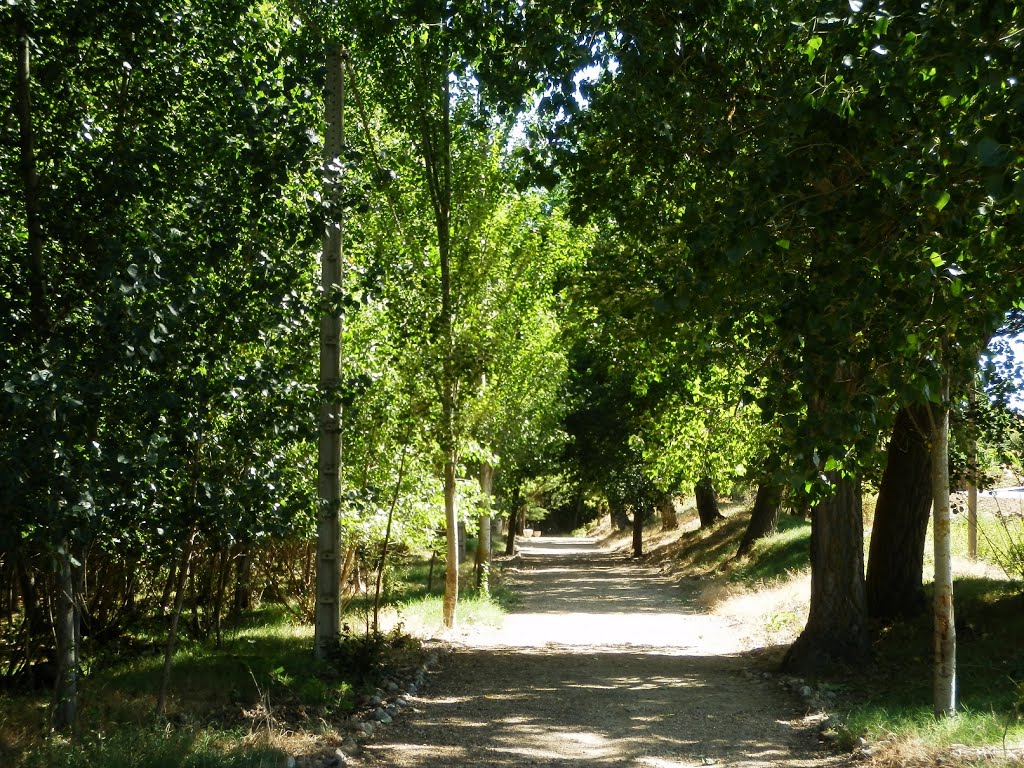 Camino del Caño II by marisaan