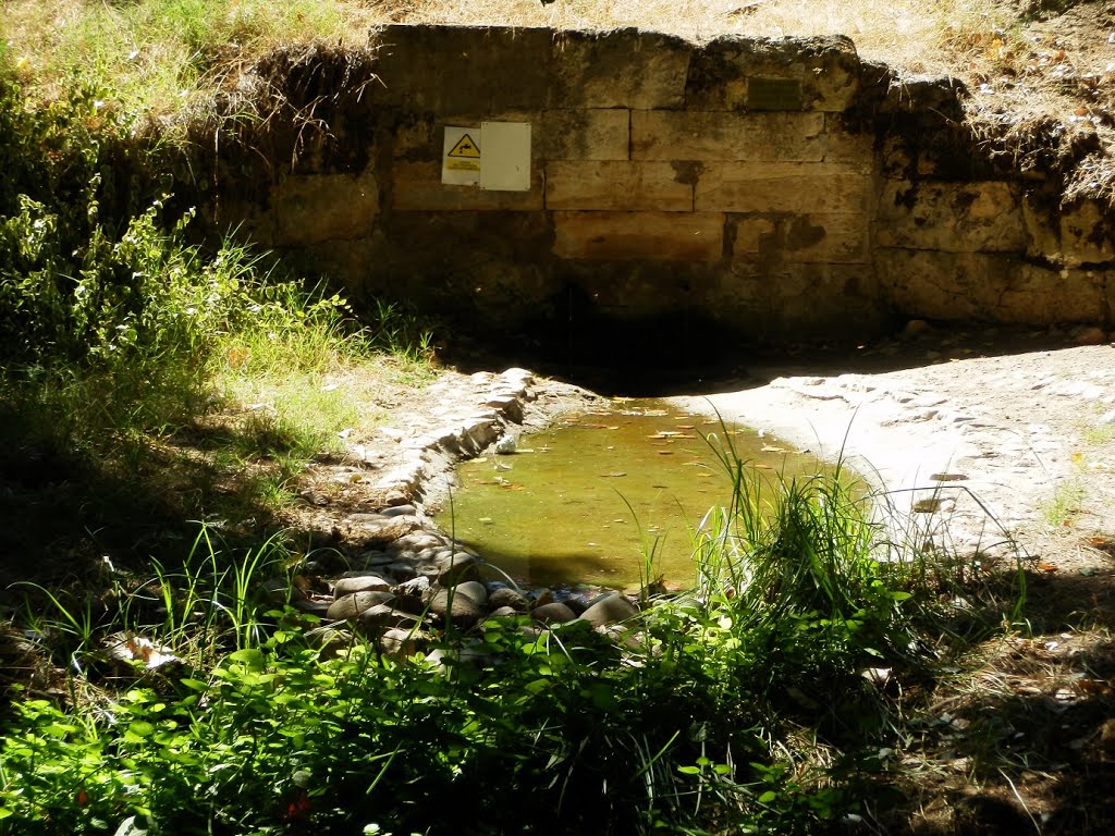 Fuente de El Caño by marisaan