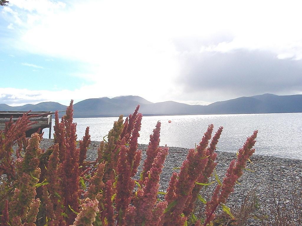 Tierra del Fuego - Lago Fagnano - ecm by eliseo c. martínez