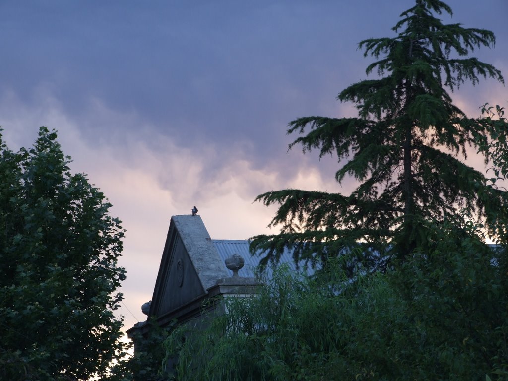 MIGUELETE (Templo Valdense) by Carlos Pontet