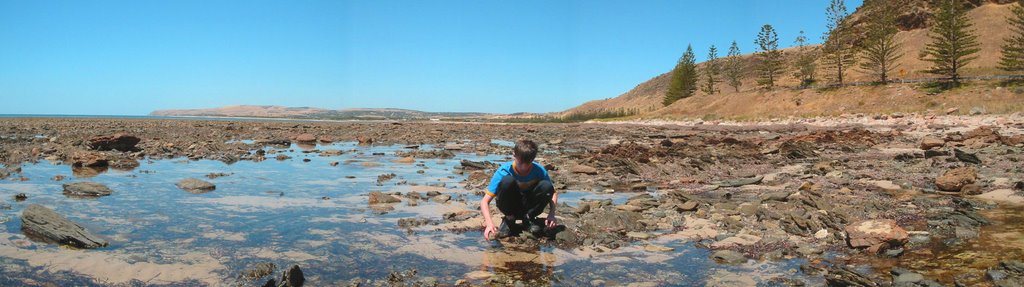 Lady Bay rockpool by granthu