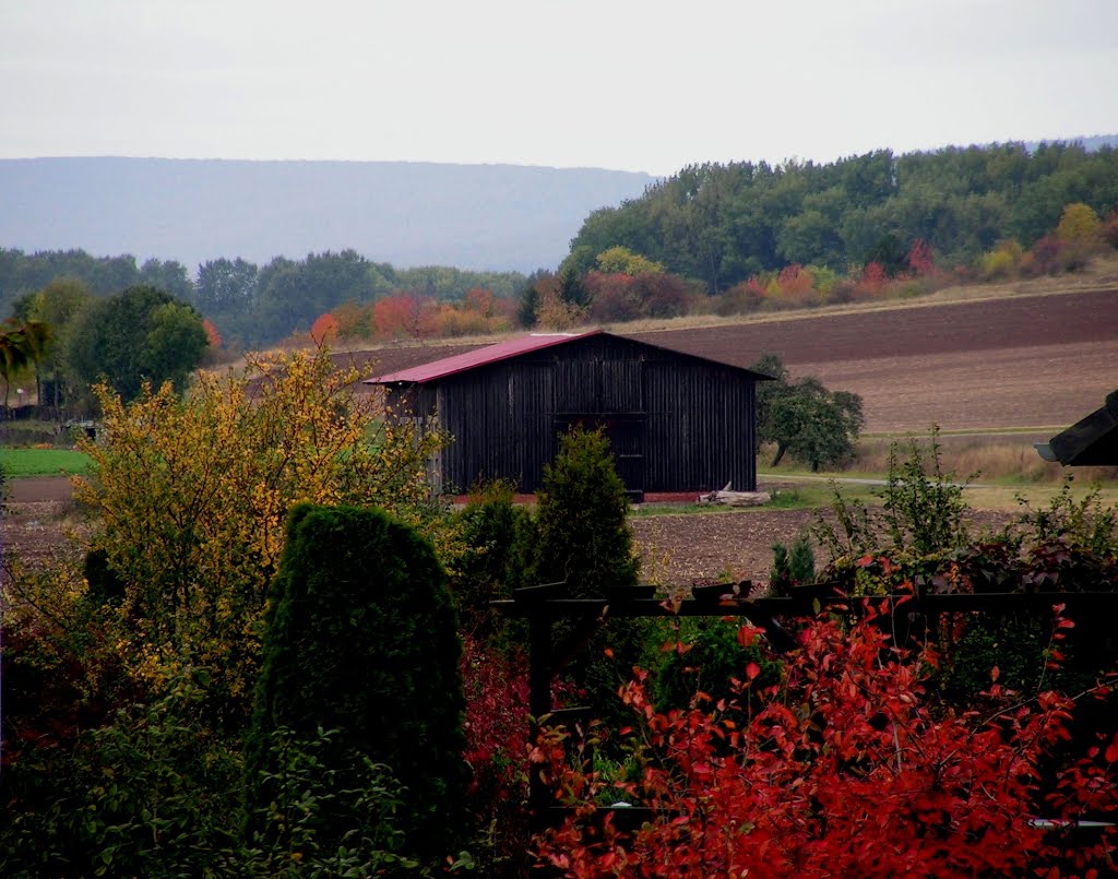 Blick von Hallerburg auf den Haarberg und den Deister by Calenberger