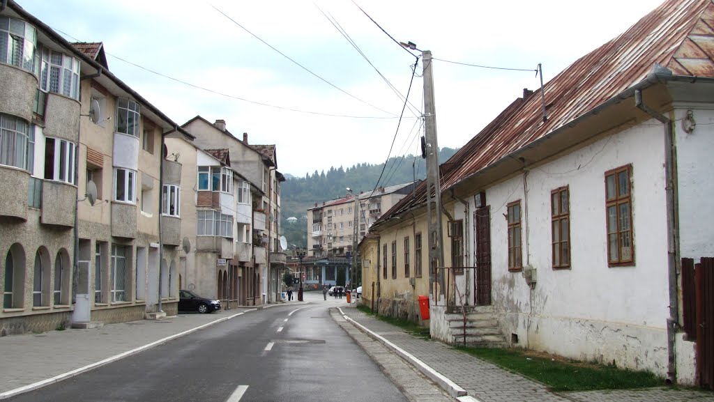 Baia de Arieș, Alba - Str. 22 Decembrie 1989 - (2012.10.02) by Ana Maria Catalina