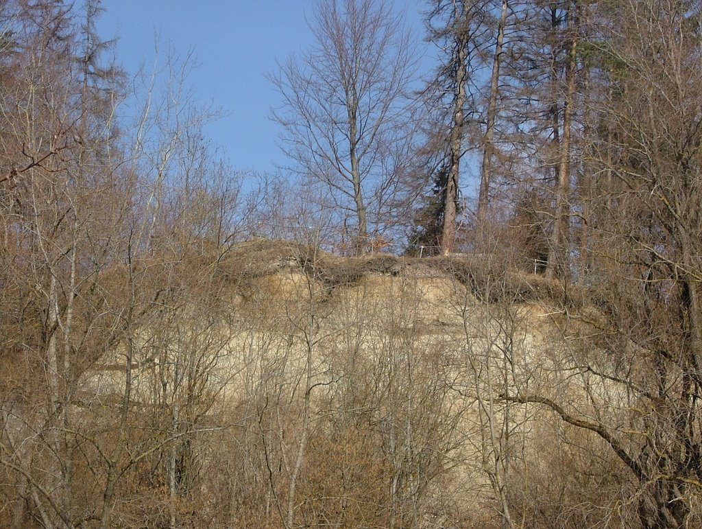 Auf der rechten Illerseite der Sandberg by Richard Mayer