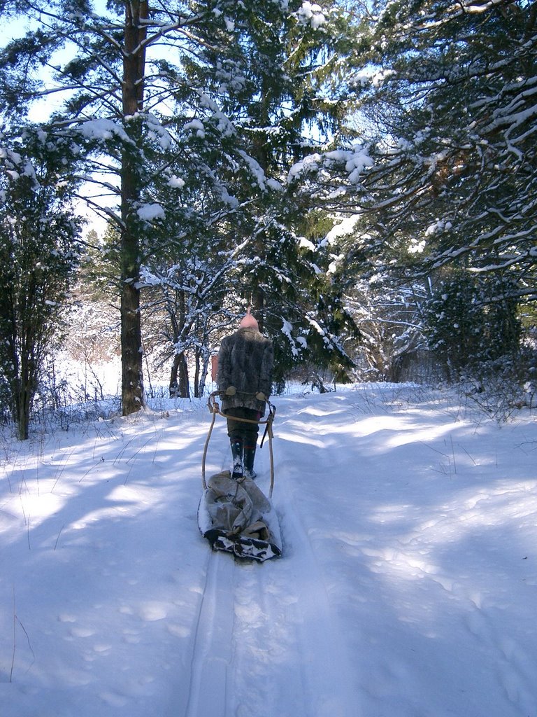 Winter at Ålön by LisaFrida