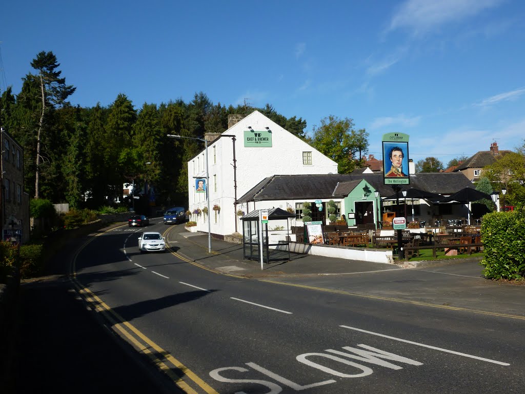 The Duke of Wellington, Riding Mill by Jon Storey