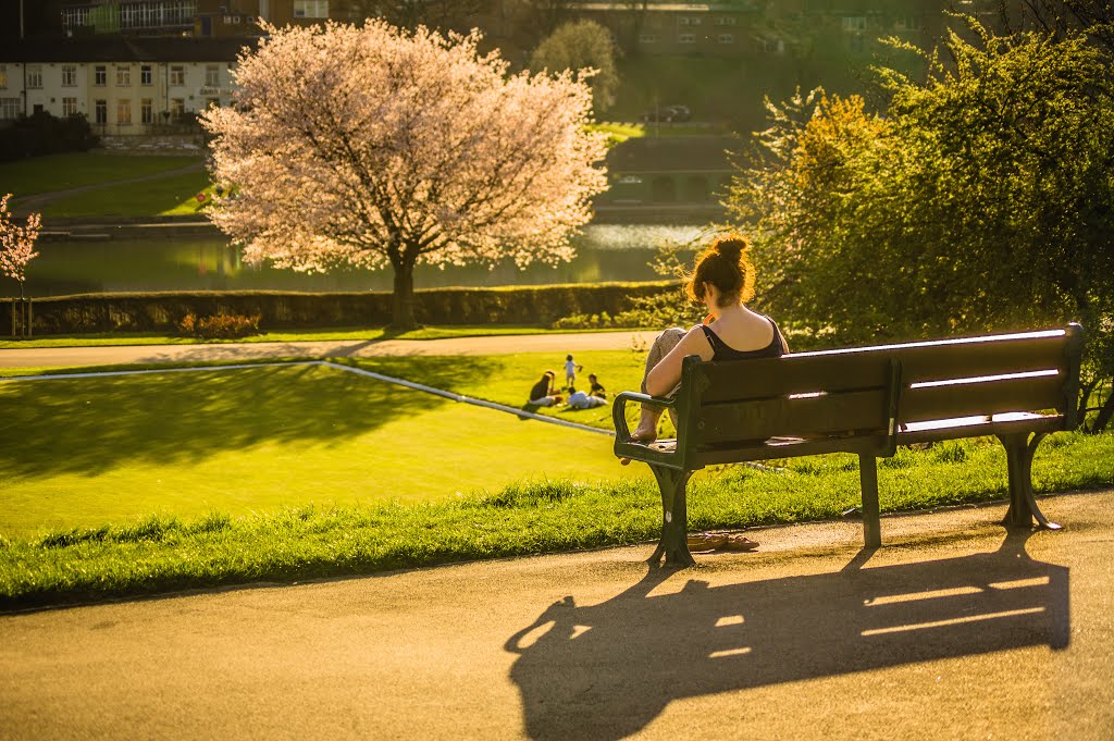 Spring time by Jose M Vazquez