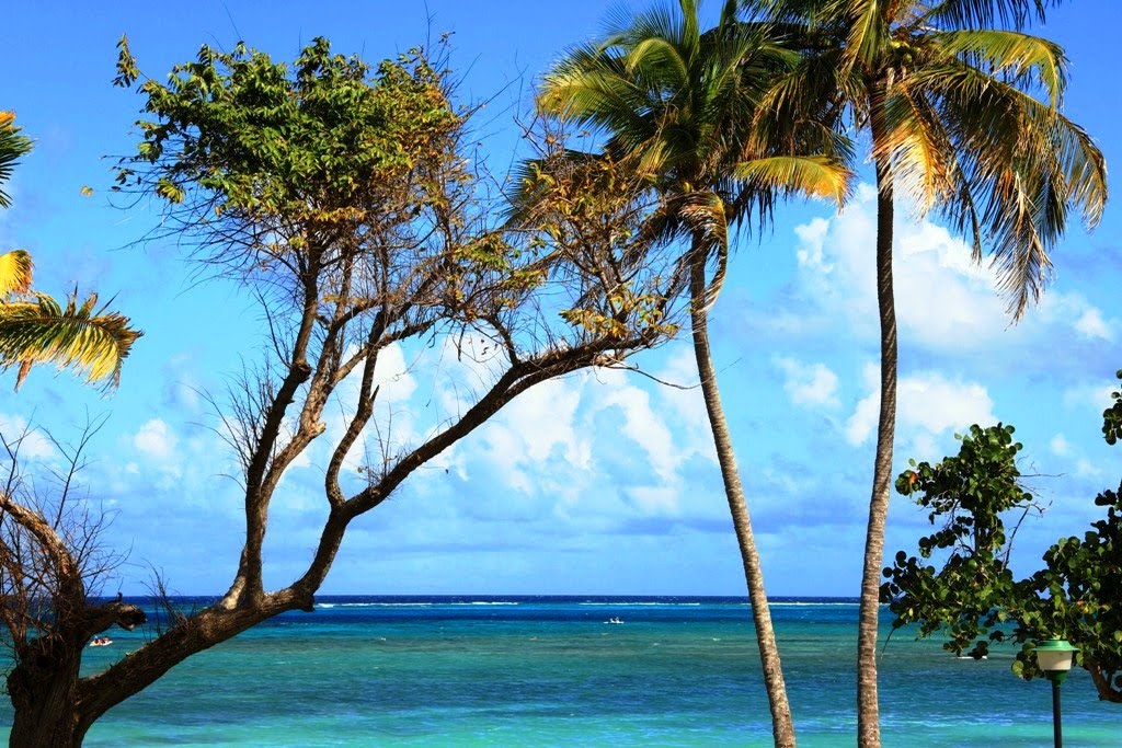 PLAYA GUARDALAVACA -CUBA by kiril shark