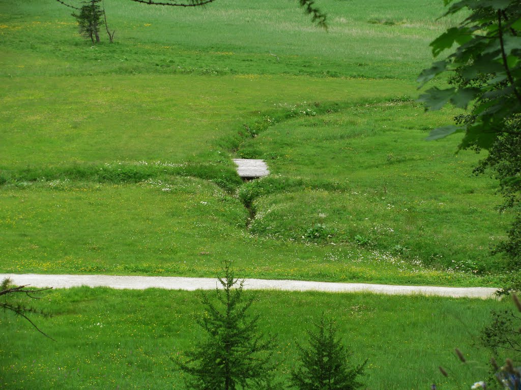 On the Green Way by Marco Carnelli