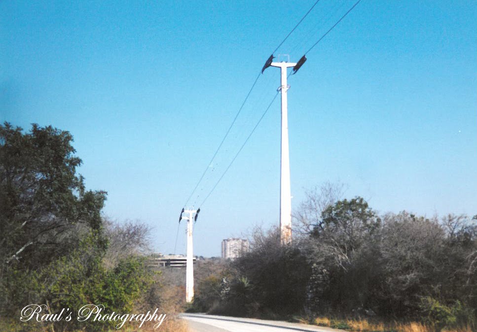 Brackenridge Park Sky Ride by Raul's Photography