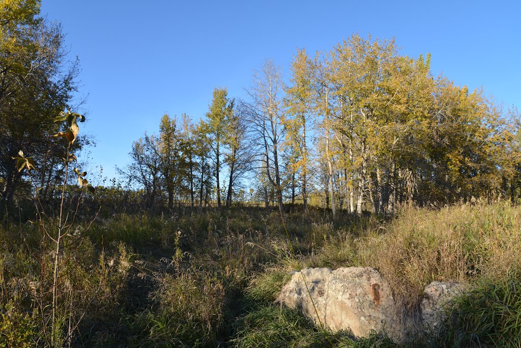 Future site of The Slopes at Sylvan Lake by Evans 2 Design Group