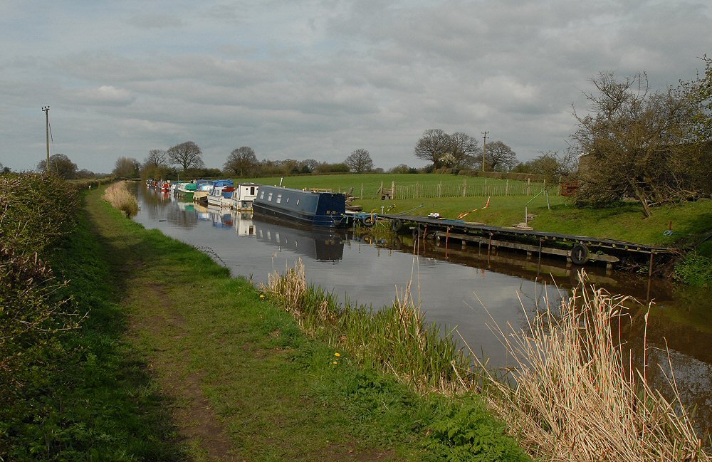 Narrow Boat Moorings by David Humphreys