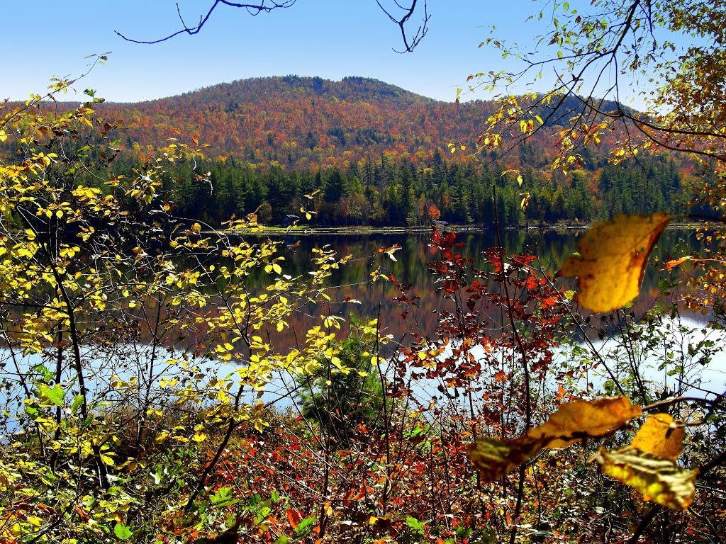 Frankin Falls Flow , oct 12, 2008. by Tom Dudones