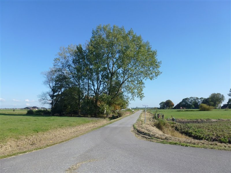 Arwerd, Sauwerd (Winsum), Stationsstraat by Netty van der Deen - Flikkema