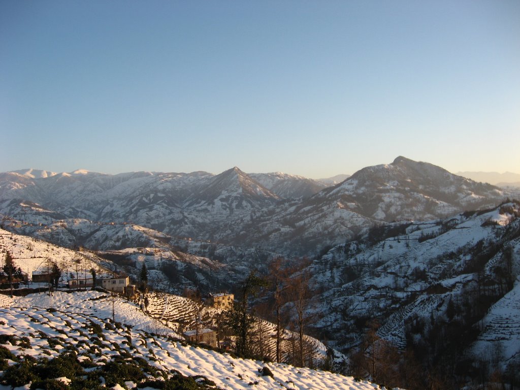 53800 Taşpınar/Rize Merkez/Rize, Turkey by alkanci