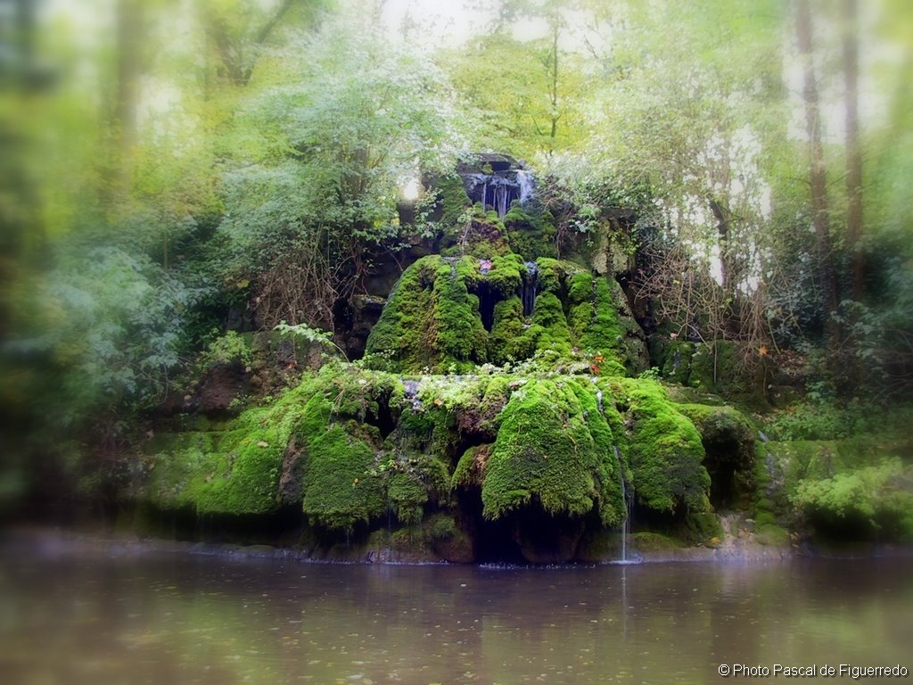 © dFP - Promenade au jardin public de Saint-Omer by Pascal de Figuerredo