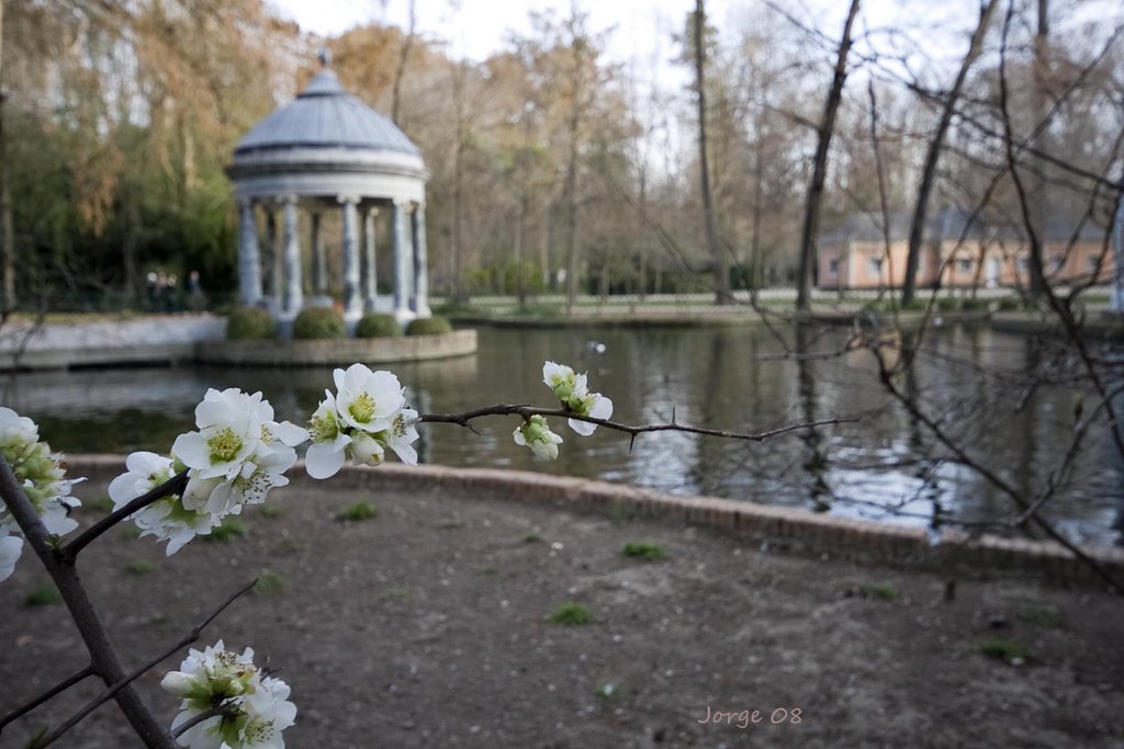 El Almendro en flor by Jorge Ballesteros