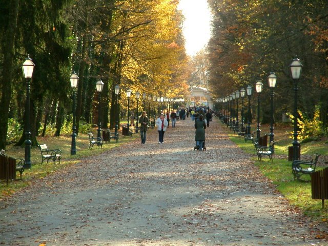 Maximilian park by Gábor Ligeti