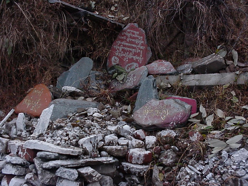 Stones with mantras at Dharamsala by Mario Rabey