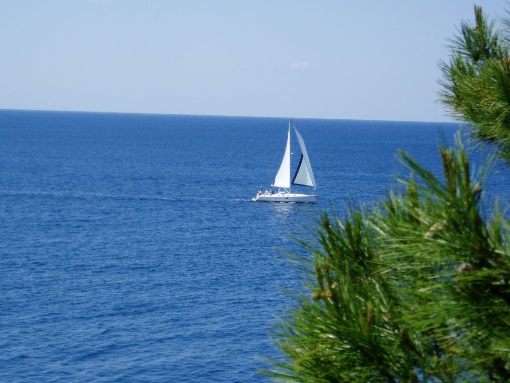 Sailing boat by Nikola Bicanic