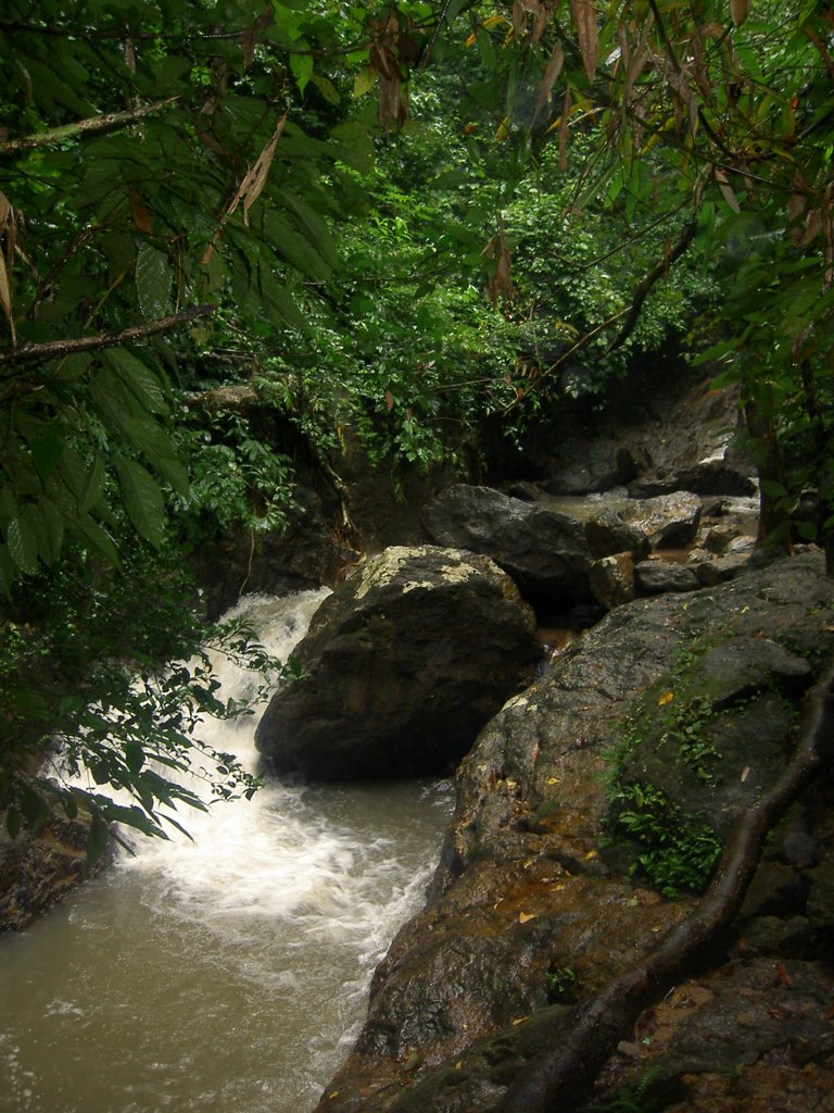 Bangpae Waterfall by Mugge