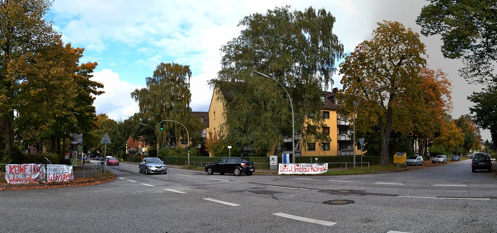 Plakate einer lokalen Protestbewegung gegen den Schwerlastverkehr by AxelSchnell