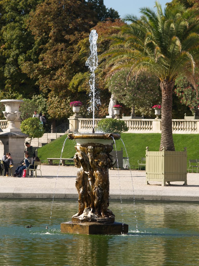 Estany dels Jardins de Luxemburg, París by Montse CR