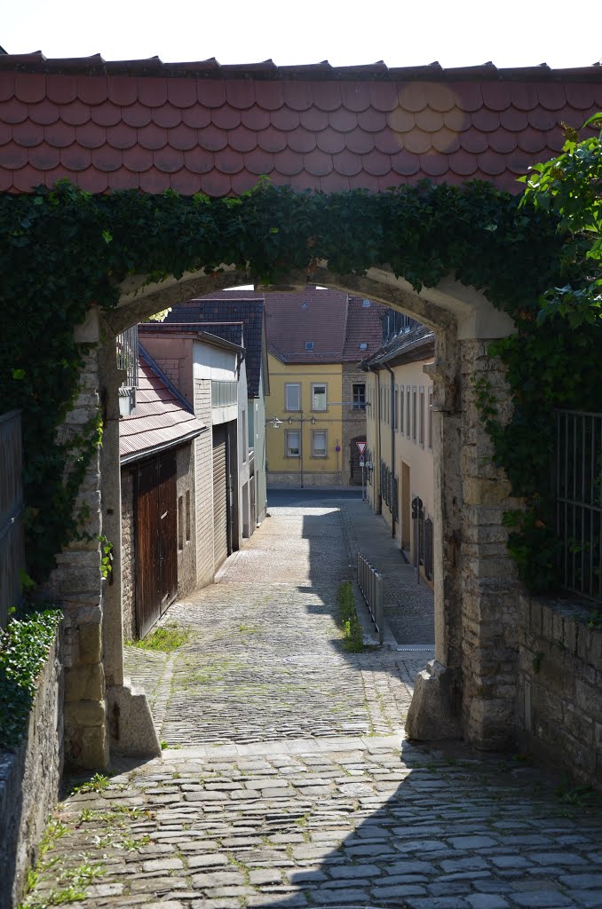 Cobblestone street in kitzingen (Germany) by hans van wyk