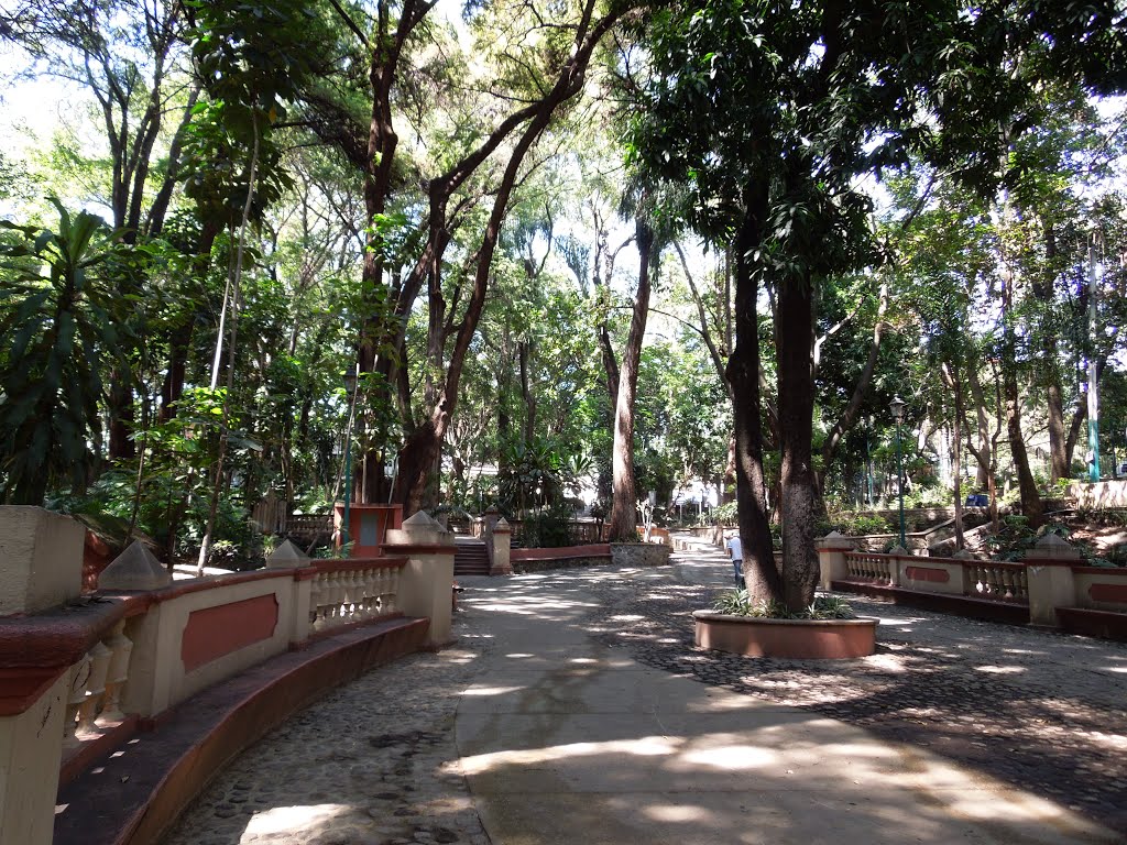 Parque Melchor Ocampo by Arturo Cárdenas L