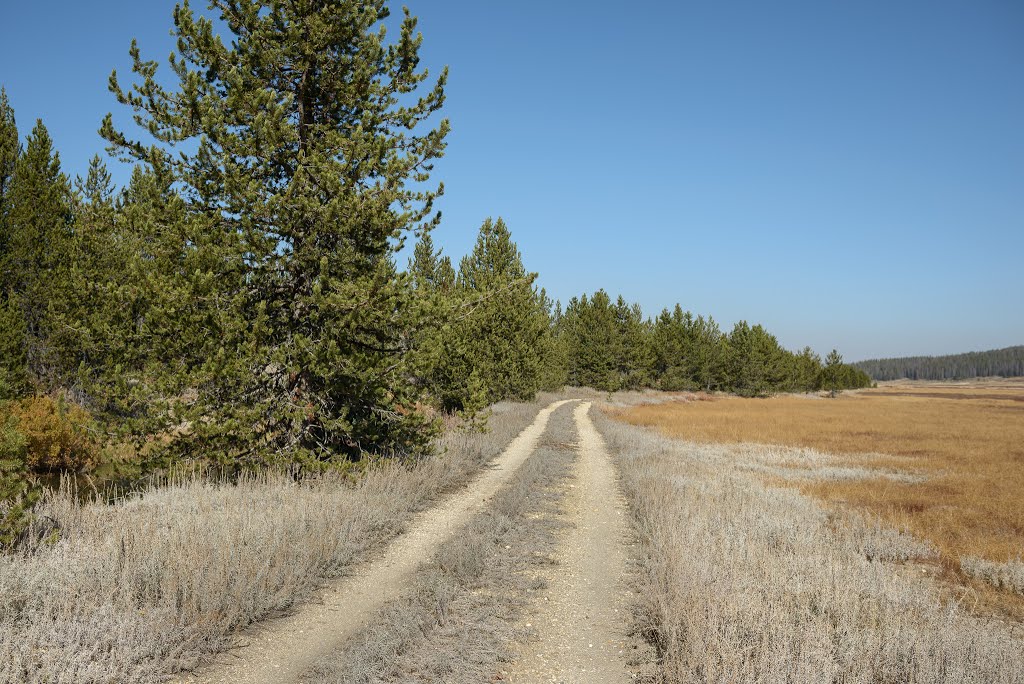 Two-track in the valley by Jason Abbott