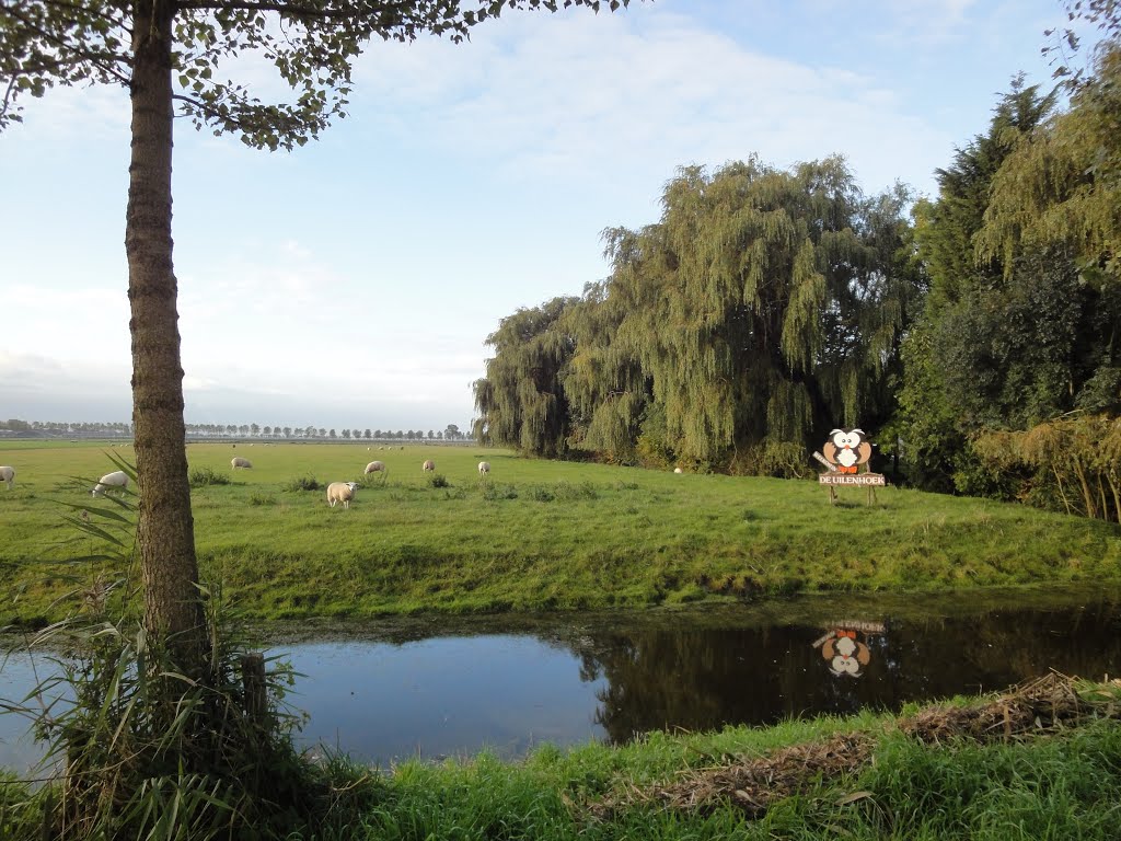 Mijzerweg @ Noordbeemster by XanderBW