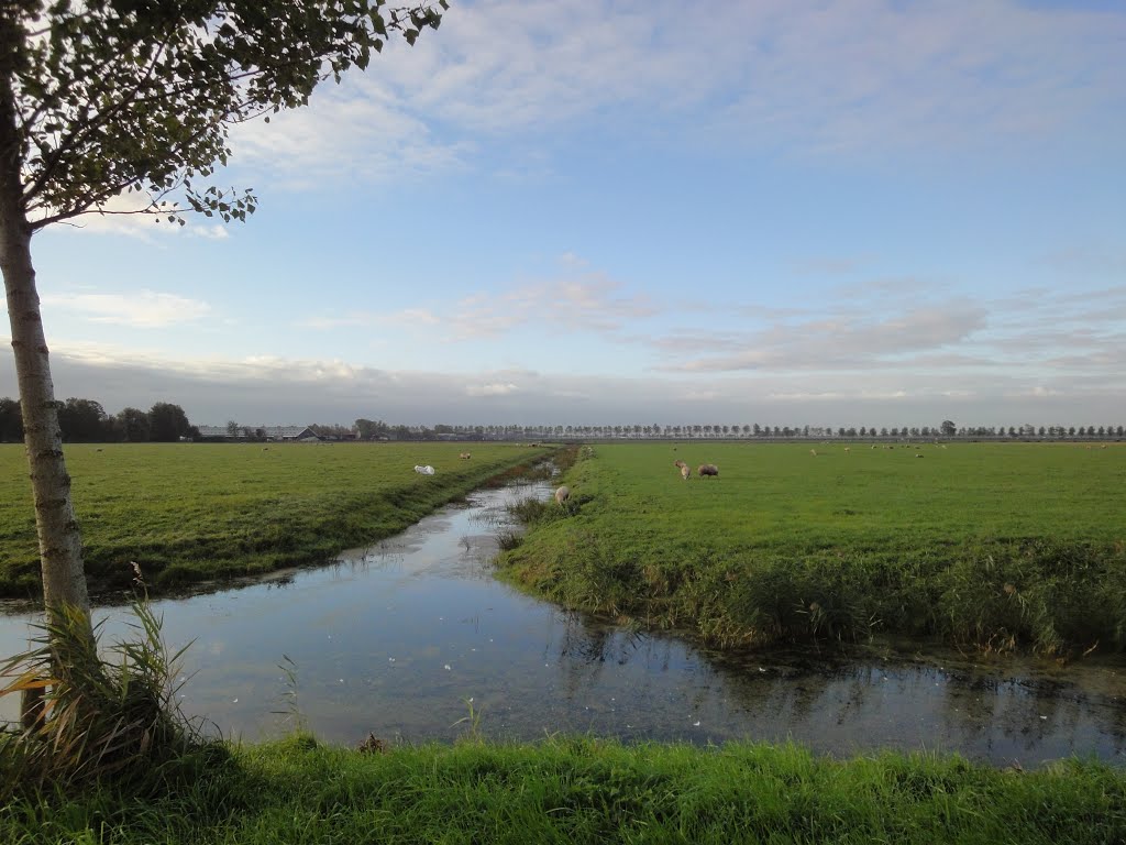 Mijzerweg @ Noordbeemster by XanderBW