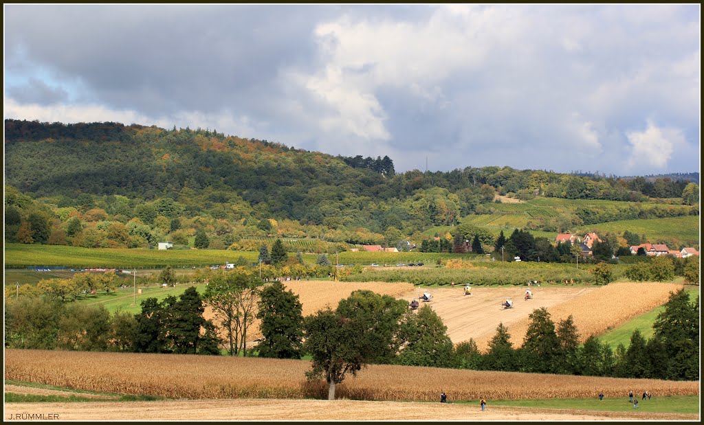 Automne à Cleebourg by capcerbère