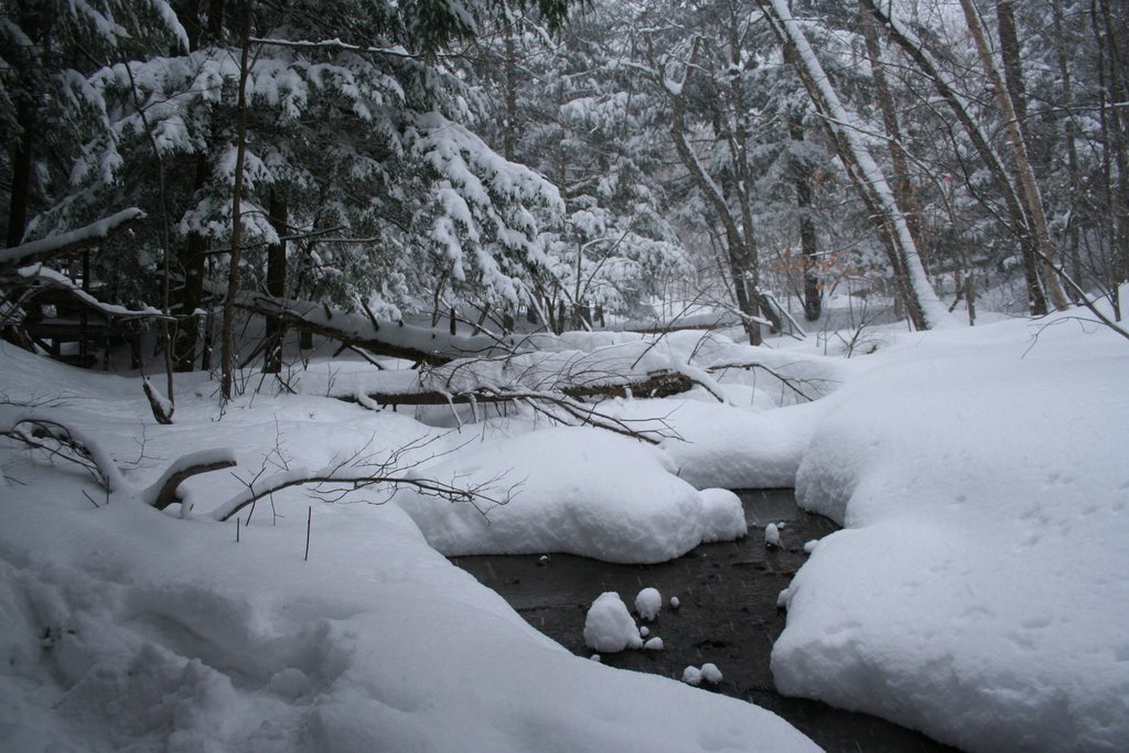 Ruisseau dans la neige by ChristianeCaron