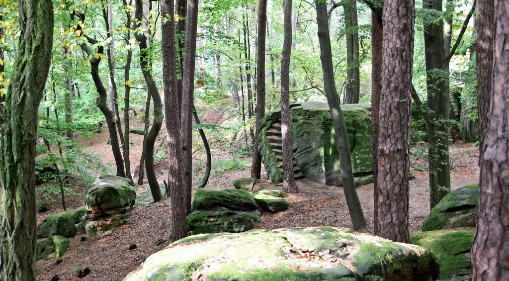 Burgkunstadt-Ebneth Naturpark Ebnether Keller by Contessa