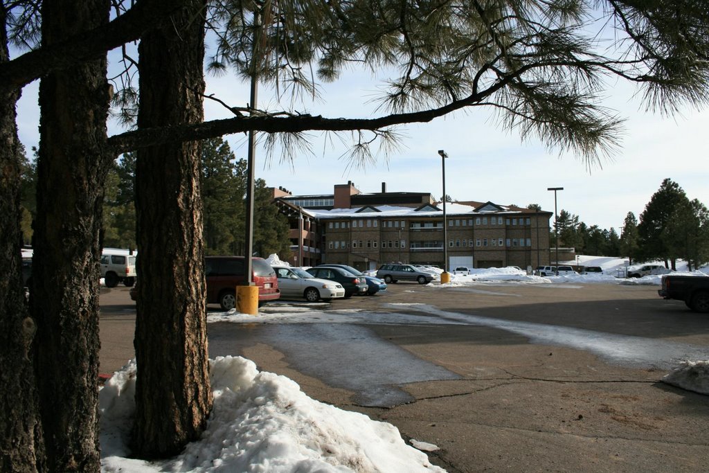 The North side of the college of South West Forest science building by zacholio