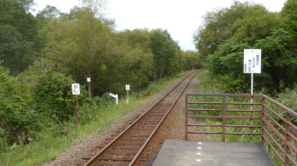 Kushiro Marsh Norokko Track and Station by TerryHD2