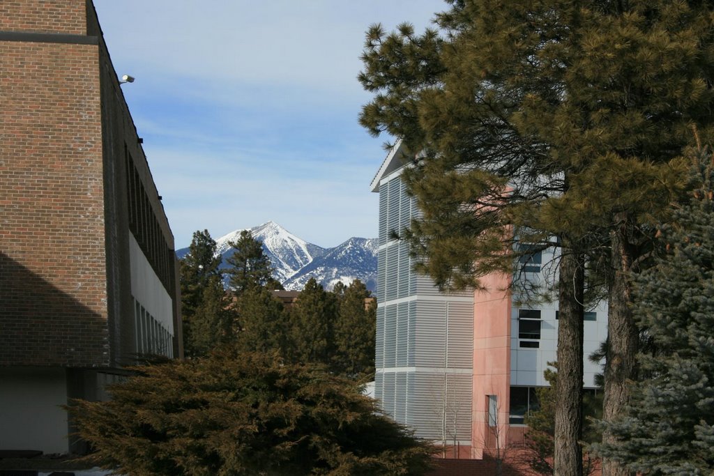 Looking North toward the San Francisco Peaks between the Behavioral Sciences East building and the Business Administration building by Czach Hidalgo