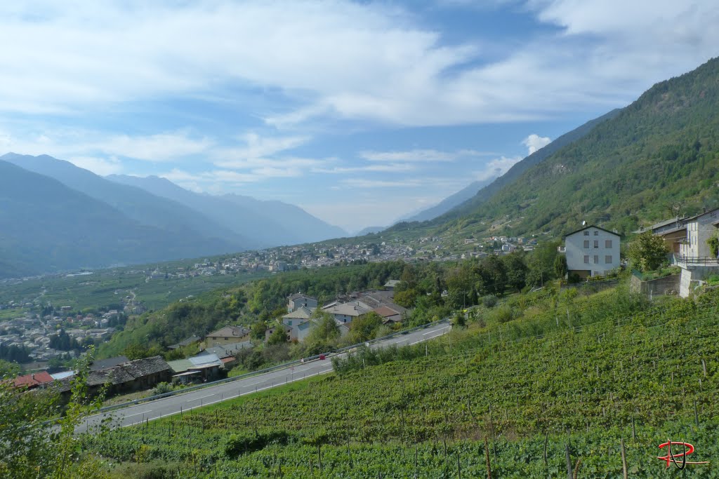 Vigne di Valtellina by Rossano Nana